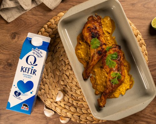 MartinLavikNygaard_QKefir-1 MartinLavikNygaard_QKefir-1