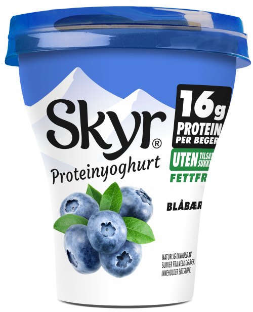 Skyr blåbær 160 g L1 2025 Skyr blåbær 160 g L1 2025