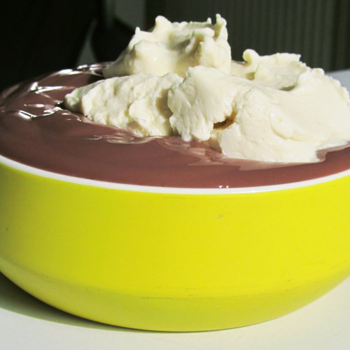 dutch-vla-image