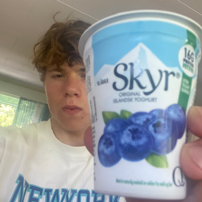 stor-skyr-blabaer-image