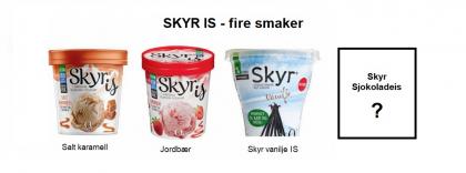 Skyr IS - fire smaker.jpg