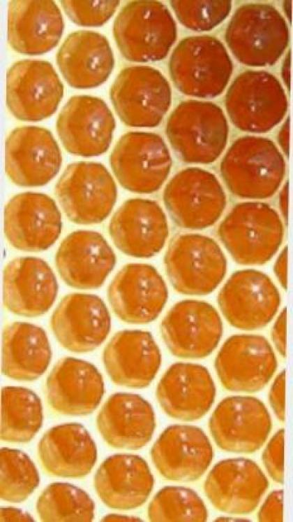 Honning.jpg